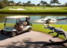 플로리다 골프장, 악어가 골프 카트 공격하는 충격적인 순간 포착